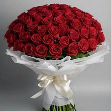 Букет 101 Красная роза Блэк Мэджик в Тихорецке