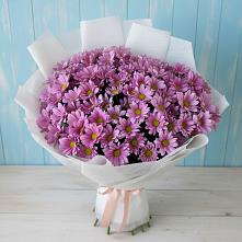 Букет цветов из:  Хризантемы в Тихорецке