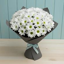 Букет цветов из:  Хризантемы #REPLACE_PRED# Тихорецке