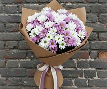 Букет цветов из:  Хризантемы в Тихорецке