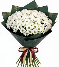 Букет цветов из:  Хризантемы в Тихорецке