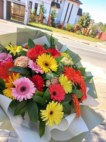 Букет цветов из: Герберы в Тихорецке