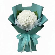 Букет цветов из:  Гортензия в Тихорецке